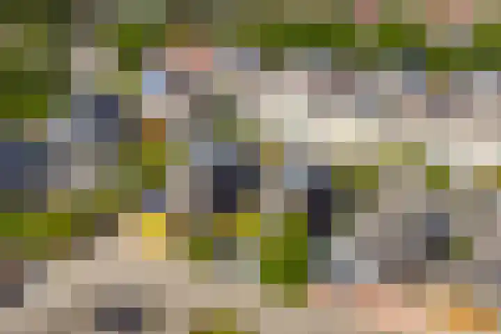 Saffier 34 Anna Paulowna thumbnail 34