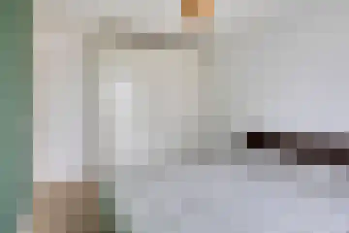 Saffier 34 Duiven thumbnail 18