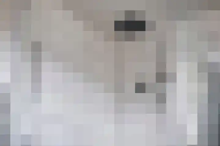 Saffier 34 Duiven thumbnail 21