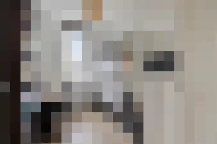 Saffier 34 Duiven thumbnail 22