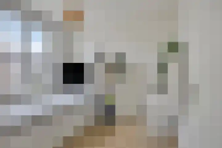 Saffier 34 Duiven thumbnail 23