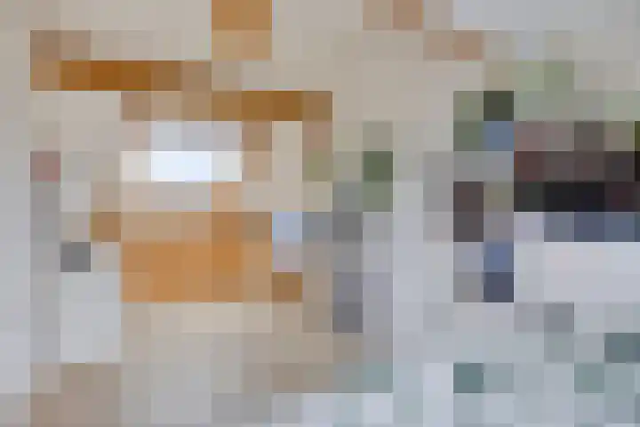 Saffier 34 Duiven thumbnail 26