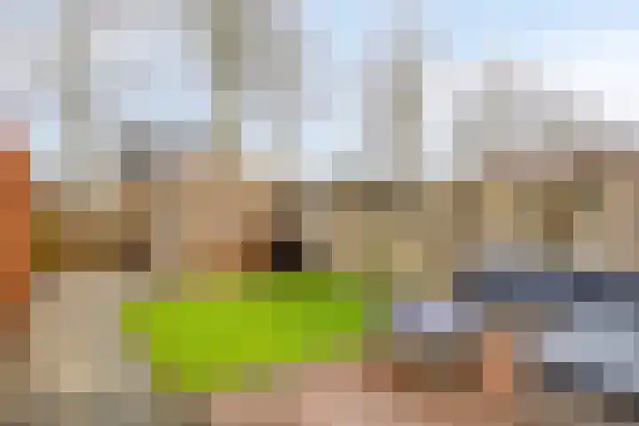 Saffier 34 Duiven thumbnail 28