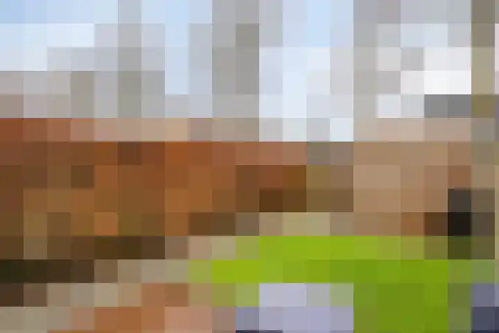 Saffier 34 Duiven thumbnail 29