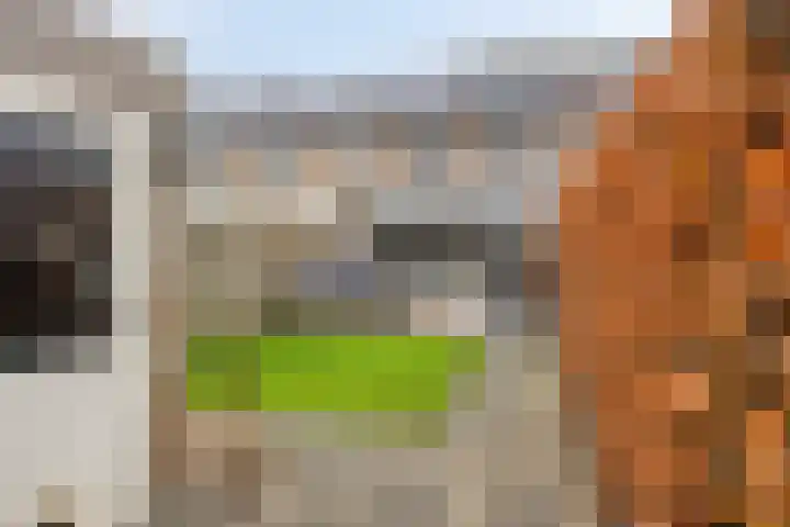 Saffier 34 Duiven thumbnail 31