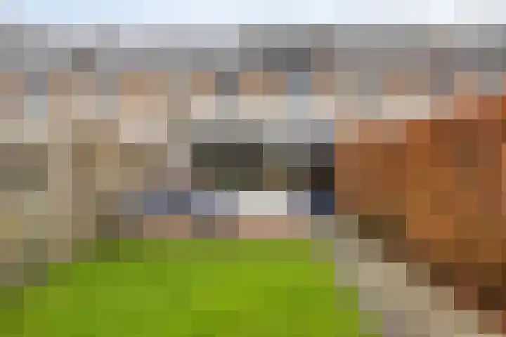 Saffier 34 Duiven thumbnail 32