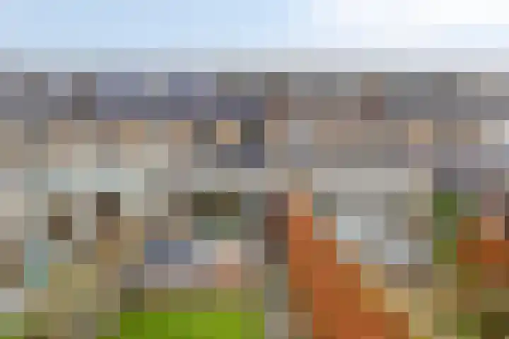 Saffier 34 Duiven thumbnail 35