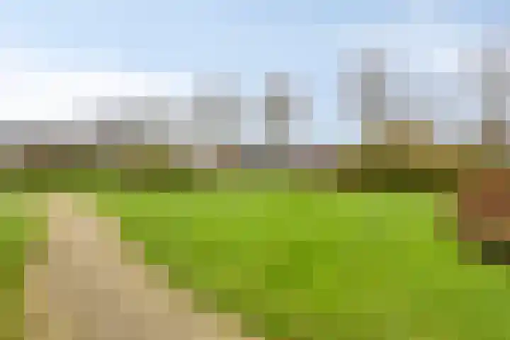 Saffier 34 Duiven thumbnail 41
