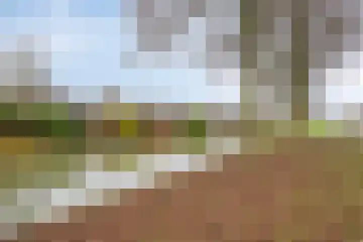 Saffier 34 Duiven thumbnail 42