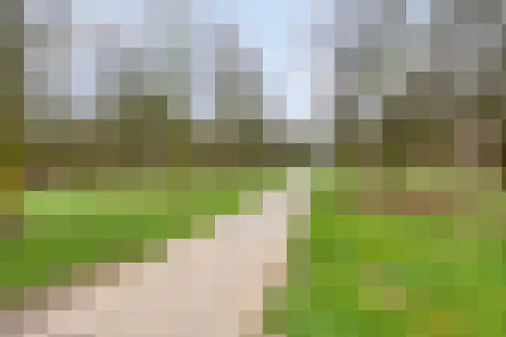 Saffier 34 Duiven thumbnail 43