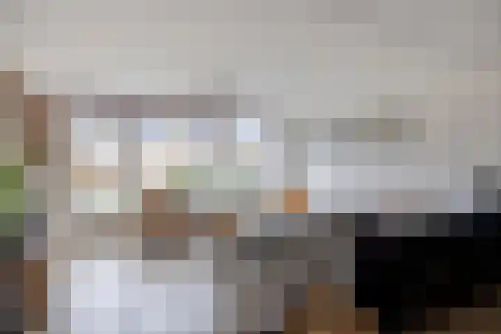 Saffier 34 Duiven thumbnail 9