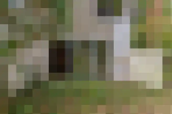 Saffier 40 Berkel en Rodenrijs thumbnail 11
