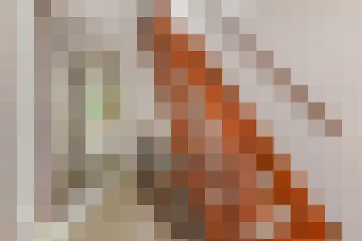 Saffier 40 Berkel en Rodenrijs thumbnail 17