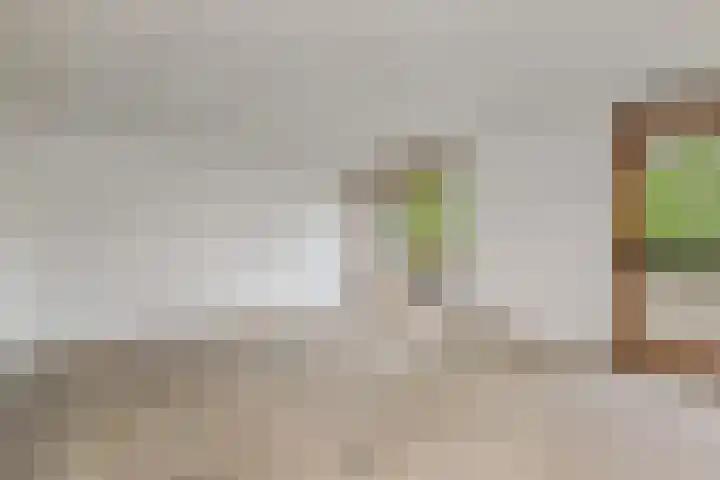 Saffier 40 Berkel en Rodenrijs thumbnail 21