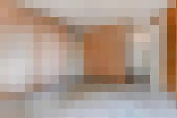 Saffier 40 Berkel en Rodenrijs thumbnail 23