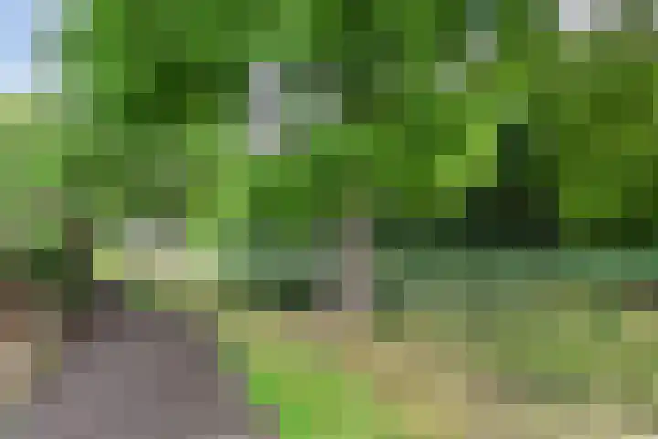 Saffier 40 Berkel en Rodenrijs thumbnail 32