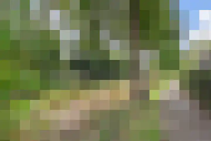 Saffier 40 Berkel en Rodenrijs thumbnail 33
