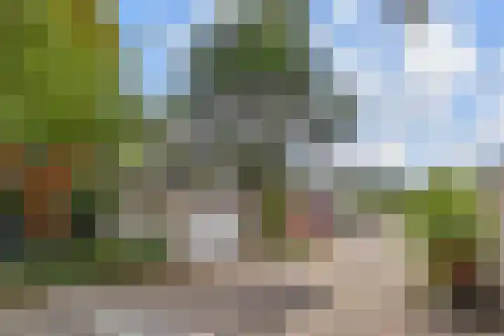 Saffier 40 Berkel en Rodenrijs thumbnail 4