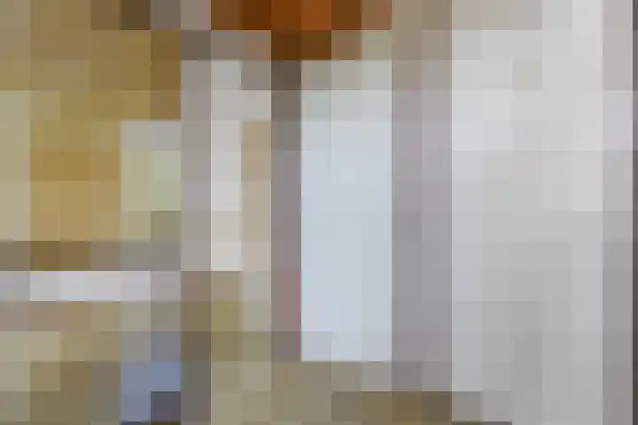 Saffier 40 Berkel en Rodenrijs thumbnail 7