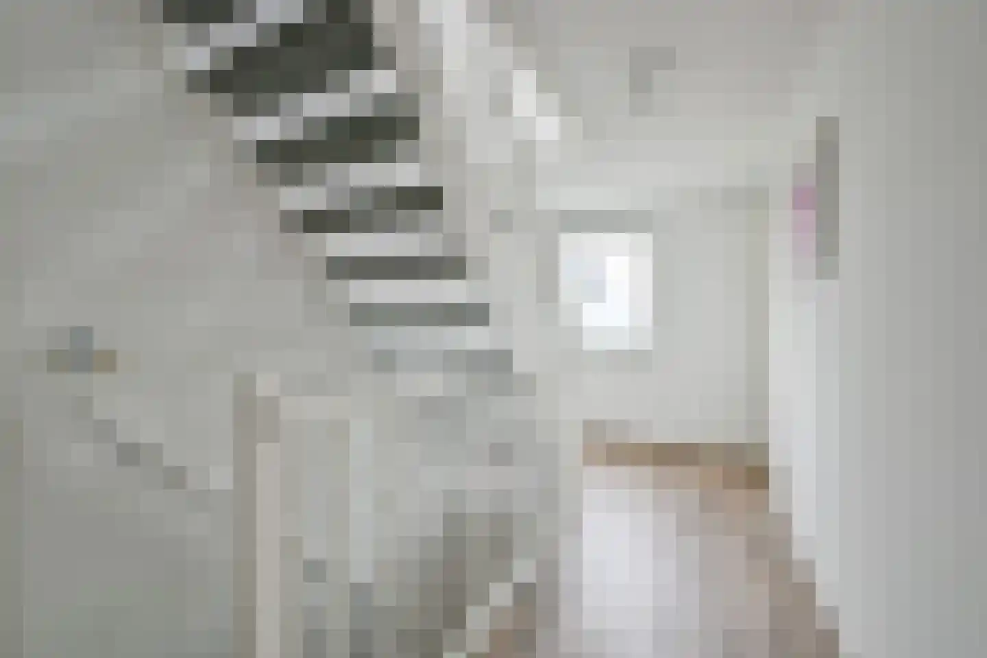 Saffier 45 Anna Paulowna thumbnail 20