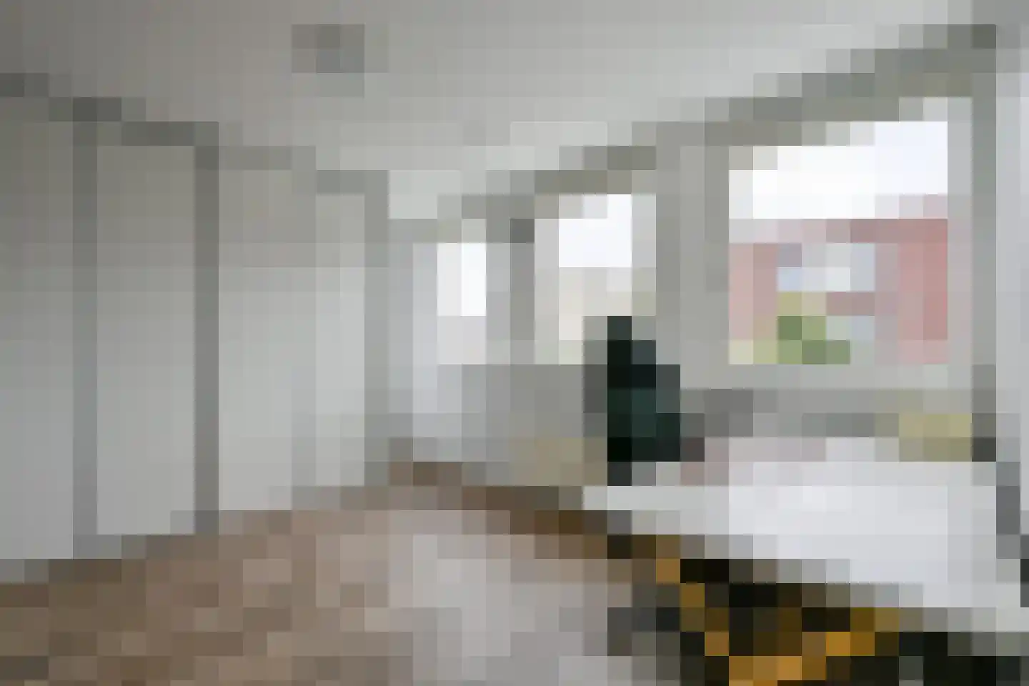 Saffier 45 Anna Paulowna thumbnail 23