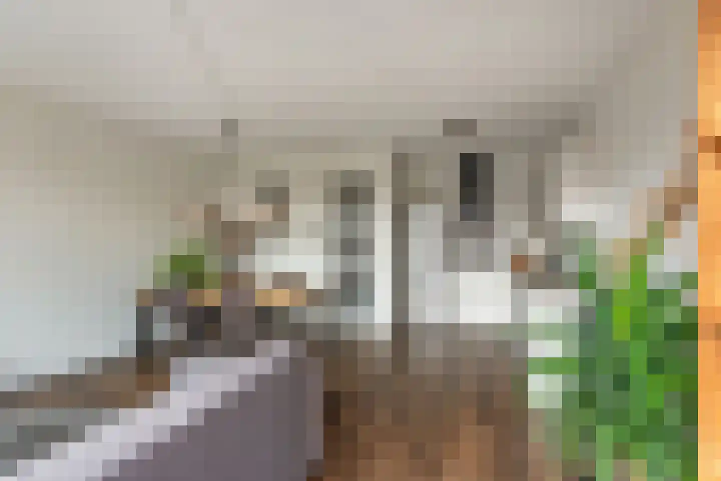 Saffier 47 Roelofarendsveen thumbnail 12