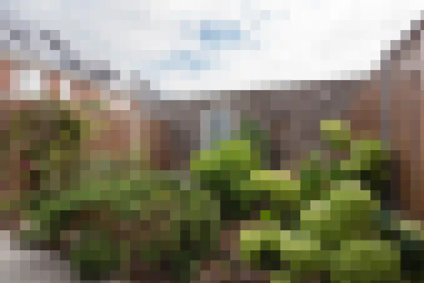 Saffier 47 Roelofarendsveen thumbnail 18