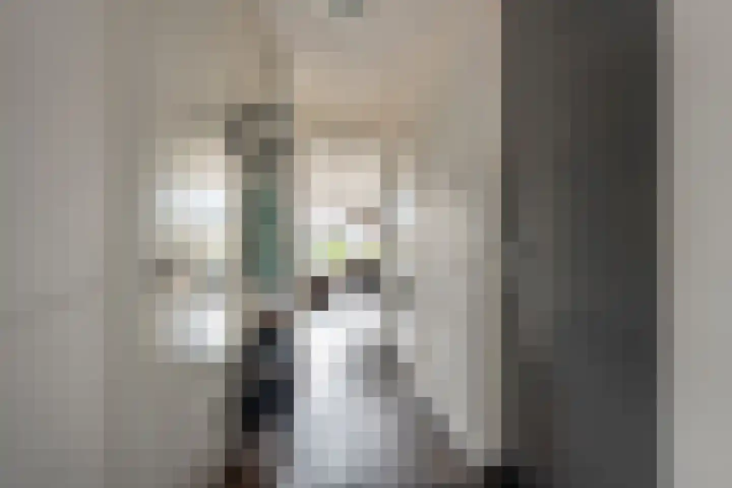 Saffier 47 Roelofarendsveen thumbnail 6