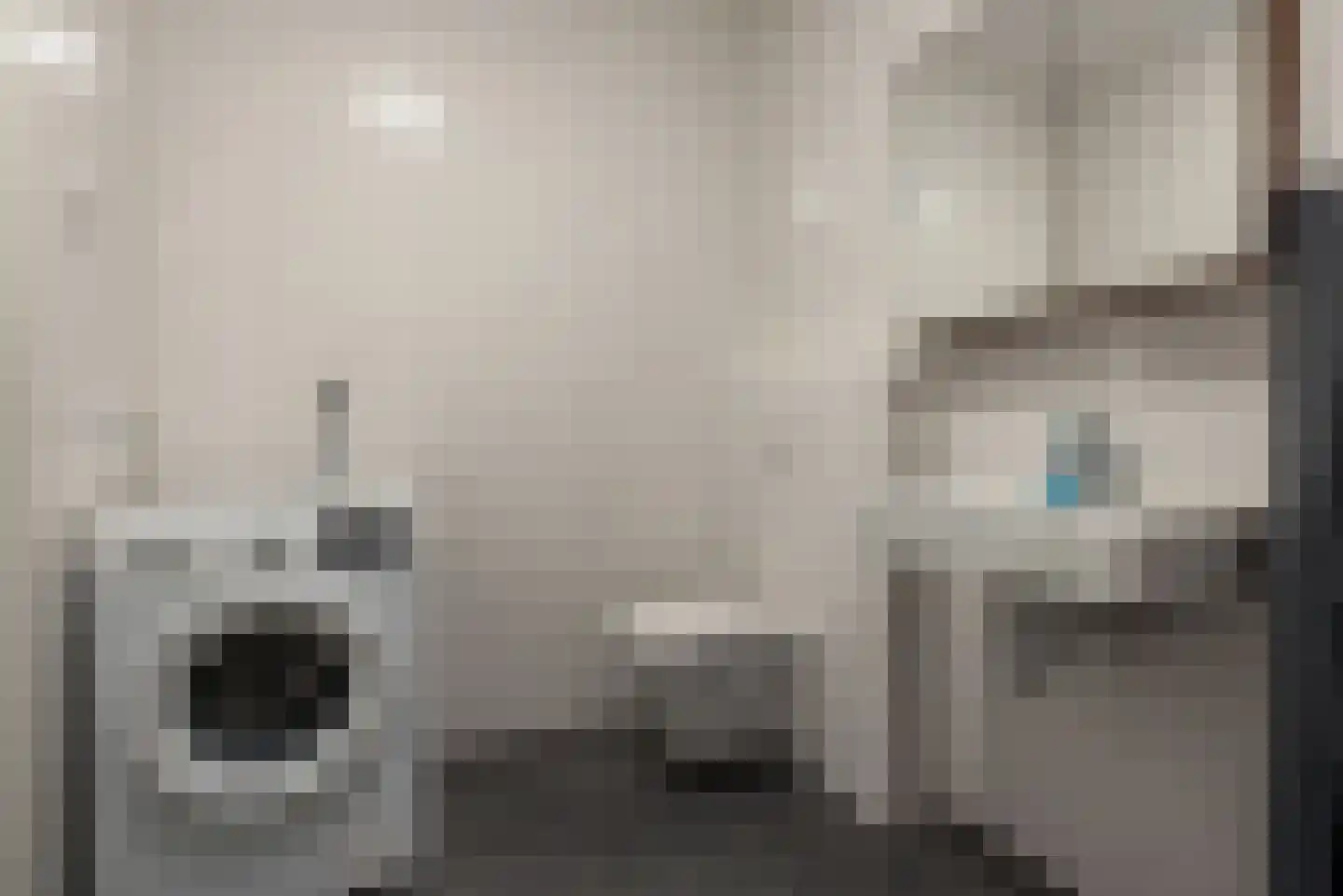 Saffier 47 Roelofarendsveen thumbnail 8