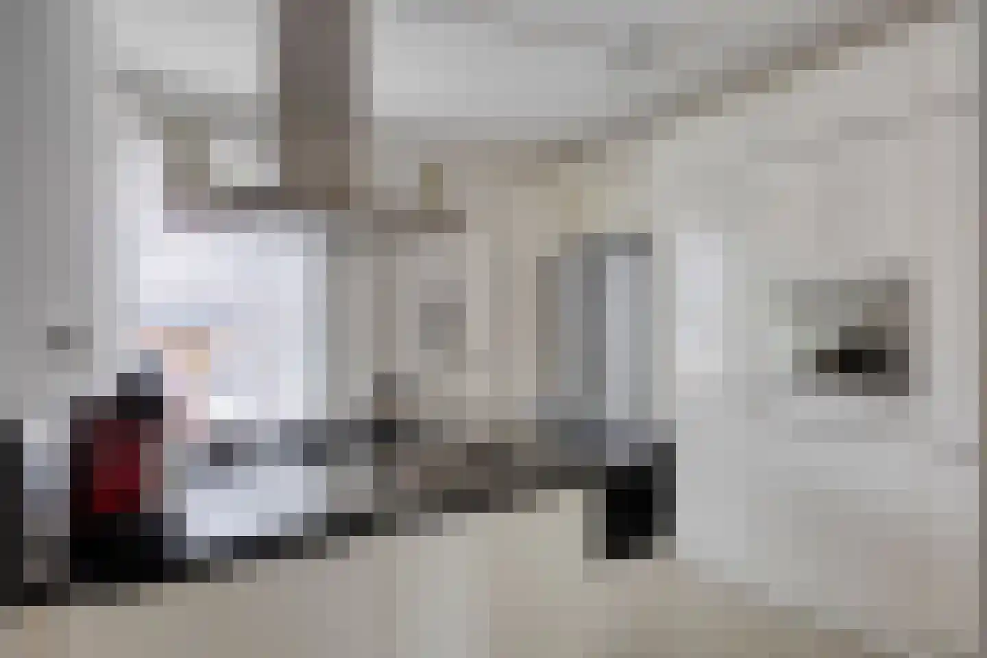 Saffier 54 Berkel en Rodenrijs thumbnail 10