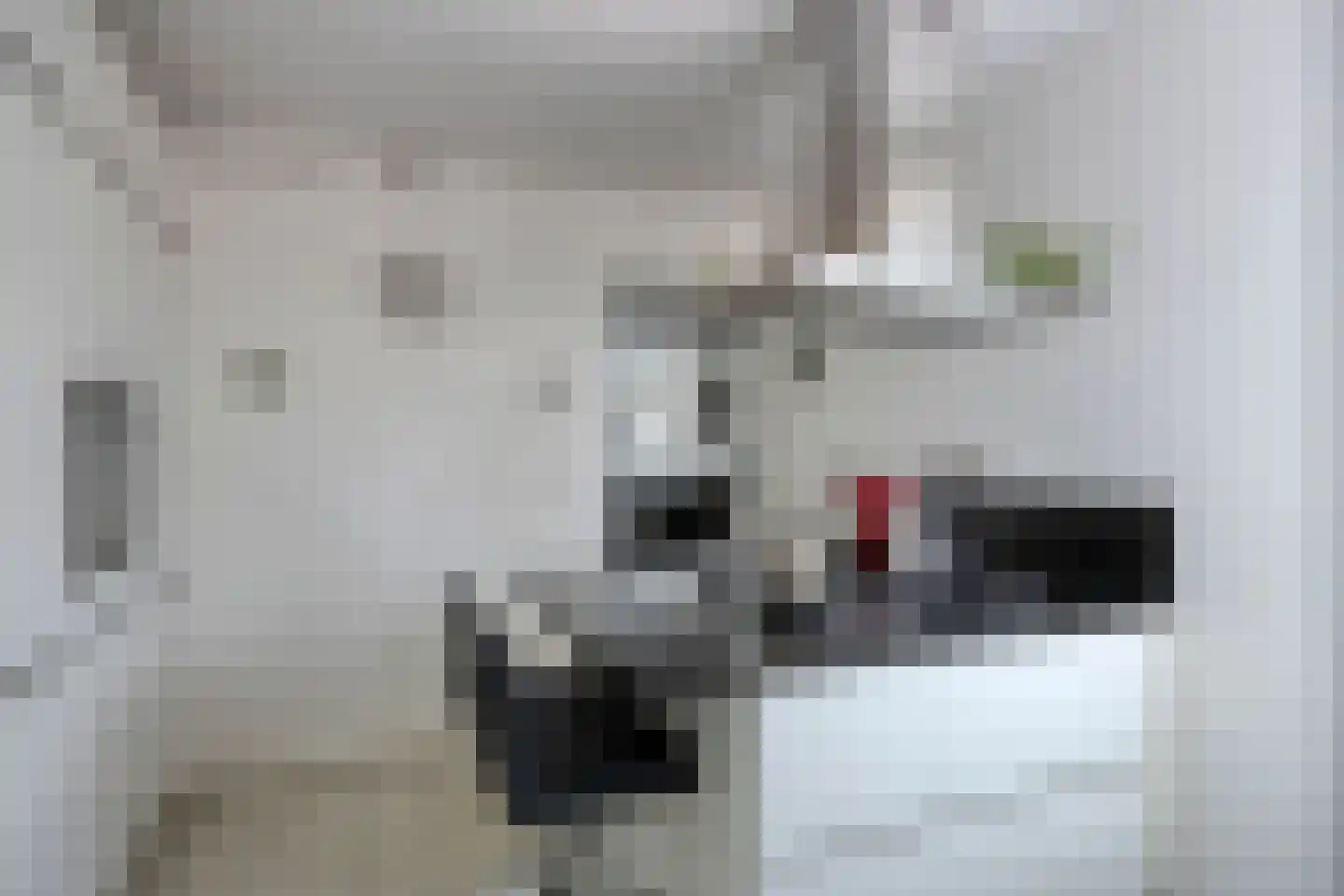 Saffier 54 Berkel en Rodenrijs thumbnail 12