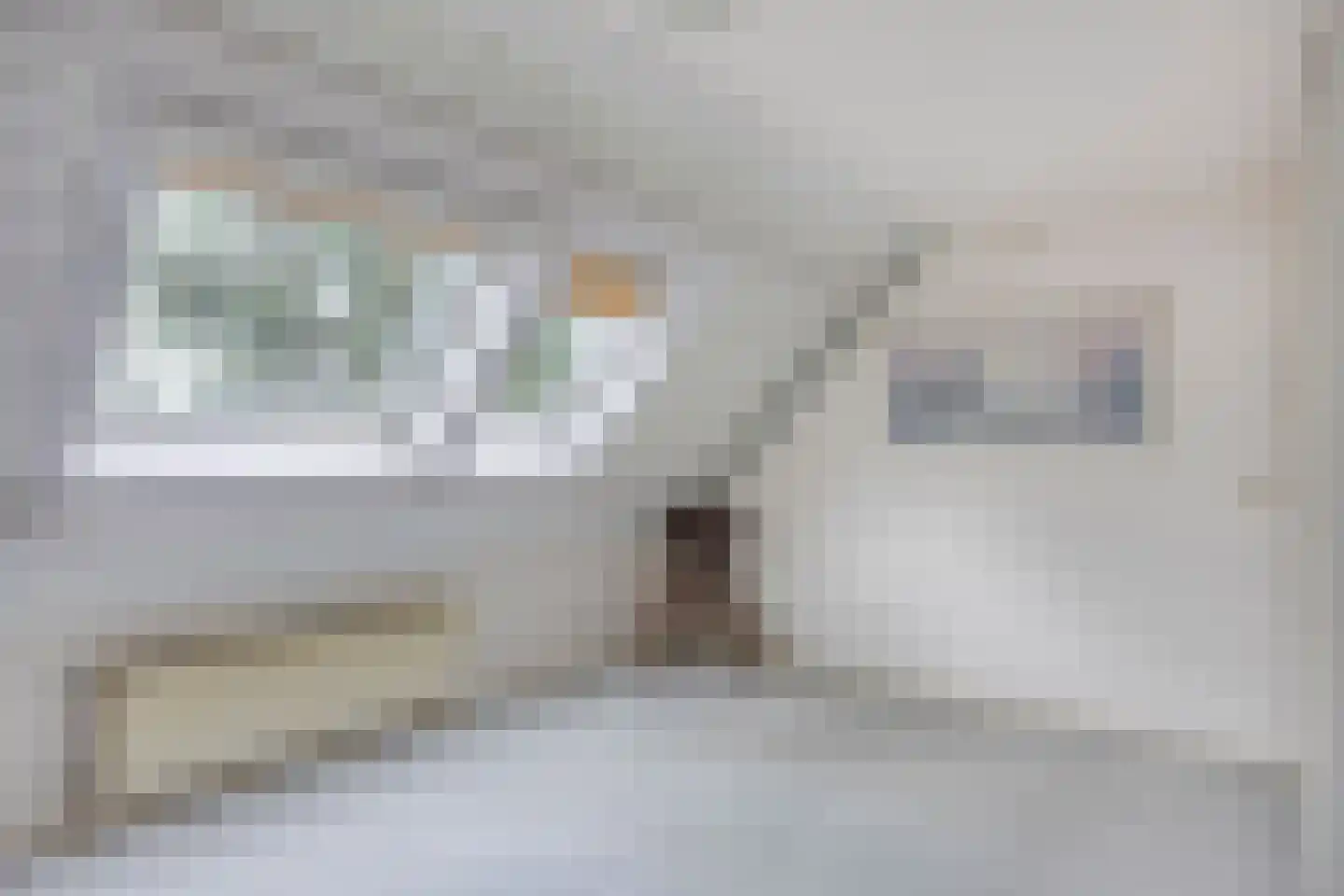 Saffier 54 Berkel en Rodenrijs thumbnail 18