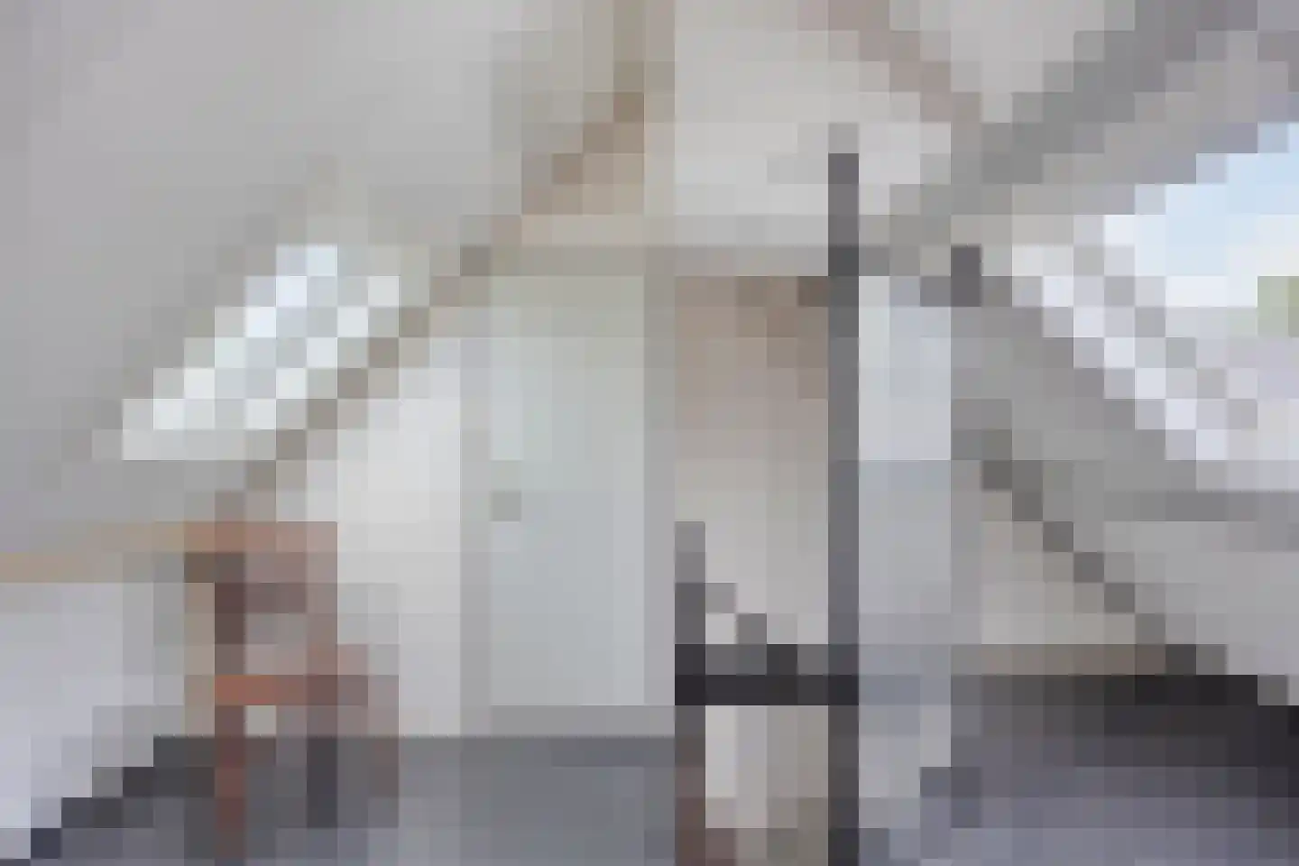 Saffier 54 Berkel en Rodenrijs thumbnail 26
