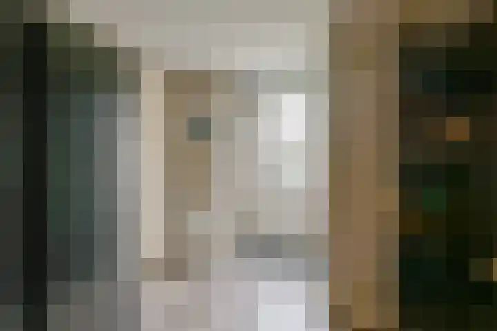 Saffier 55 Anna Paulowna thumbnail 11
