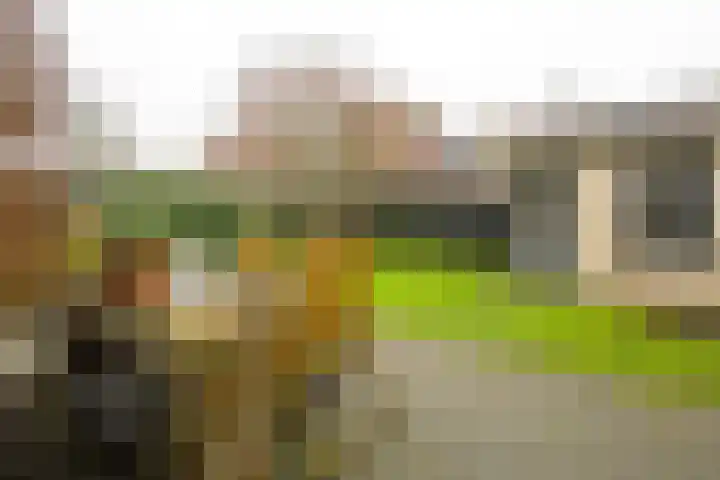 Saffier 55 Anna Paulowna thumbnail 12