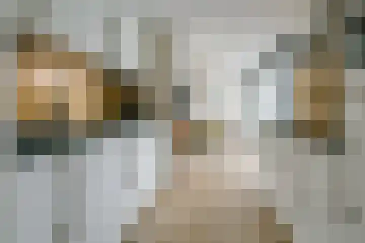 Saffier 55 Anna Paulowna thumbnail 15
