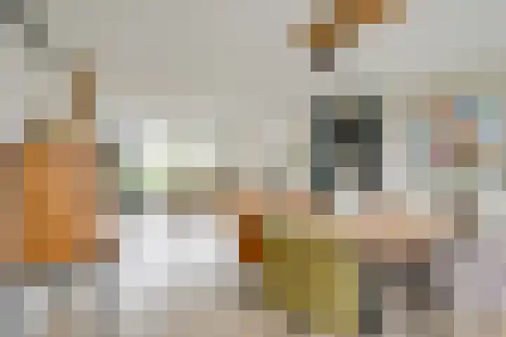 Saffier 55 Anna Paulowna thumbnail 16