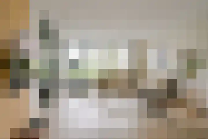 Saffier 55 Anna Paulowna thumbnail 17