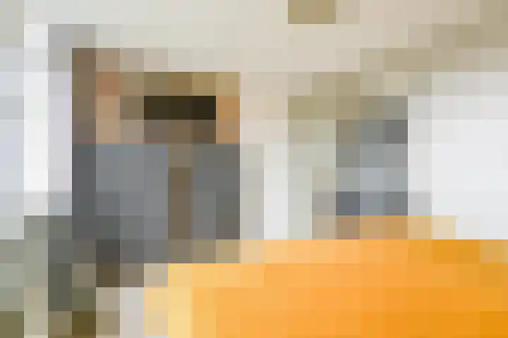 Saffier 55 Anna Paulowna thumbnail 24