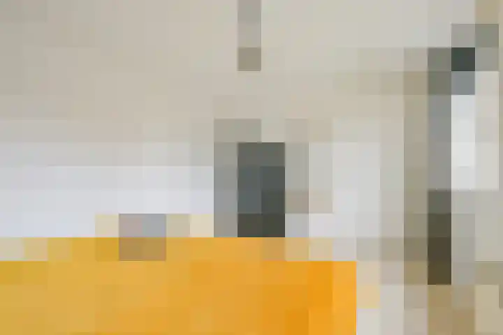 Saffier 55 Anna Paulowna thumbnail 26