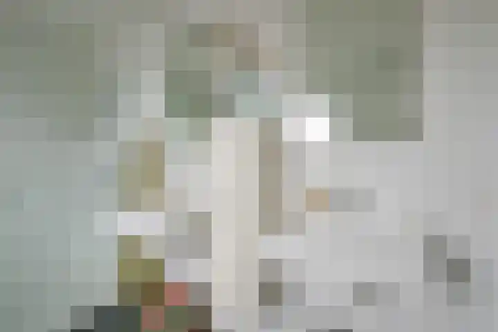 Saffier 55 Anna Paulowna thumbnail 29