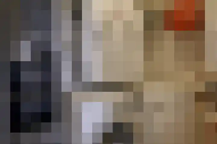 Saffier 55 Anna Paulowna thumbnail 31
