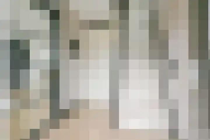 Saffier 55 Anna Paulowna thumbnail 32