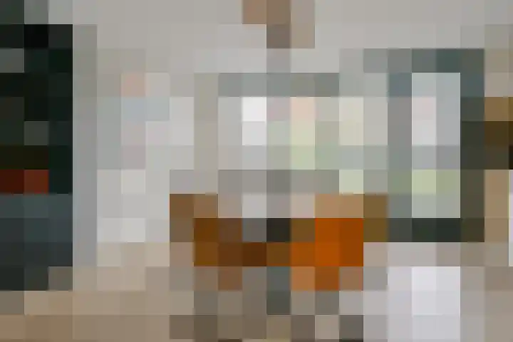 Saffier 55 Anna Paulowna thumbnail 5
