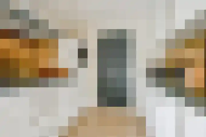 Saffier 55 Anna Paulowna thumbnail 7