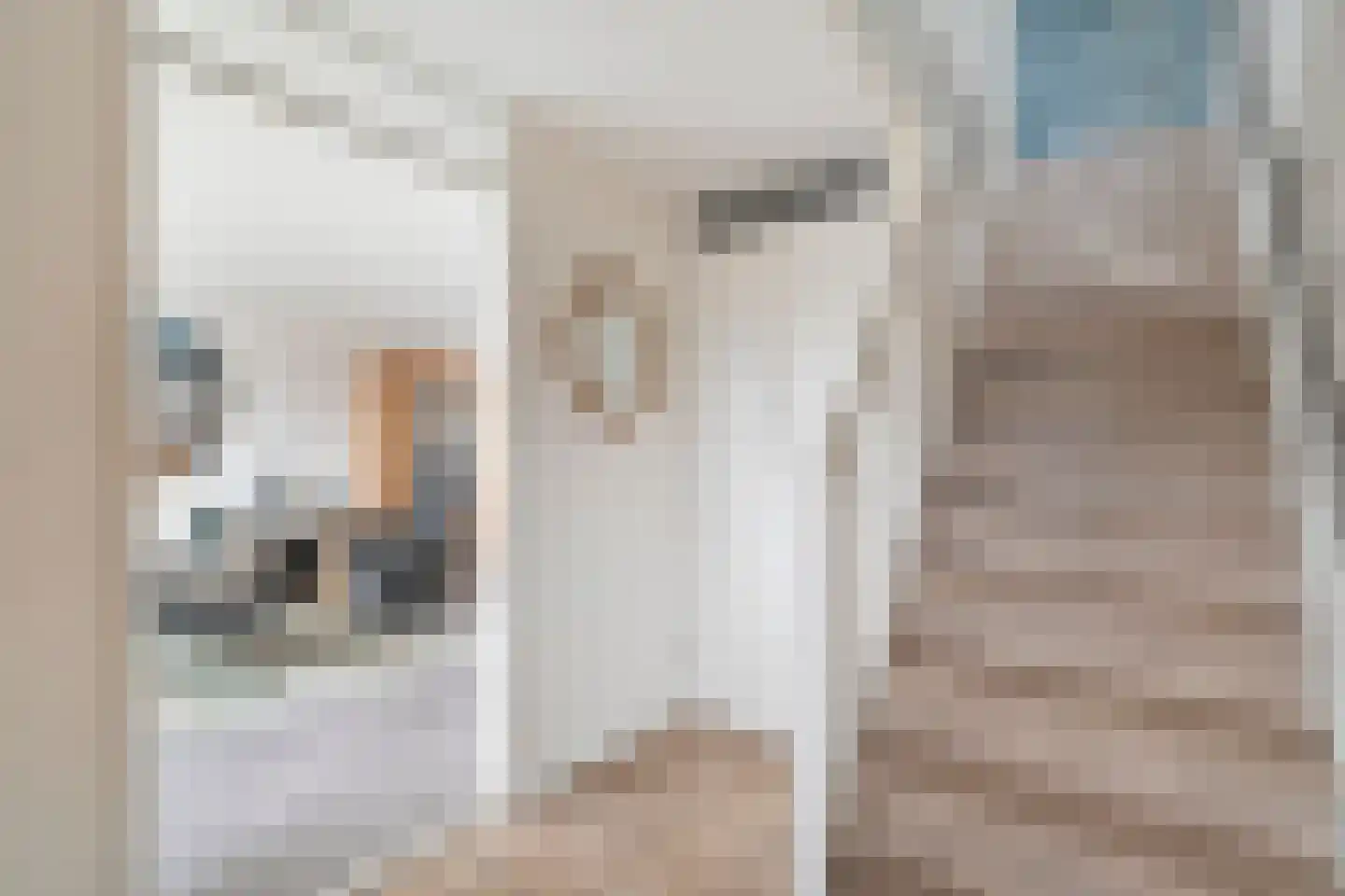 Saffier 59 Anna Paulowna thumbnail 8
