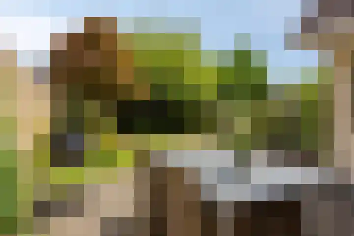 Saffier 6 Eindhoven thumbnail 4