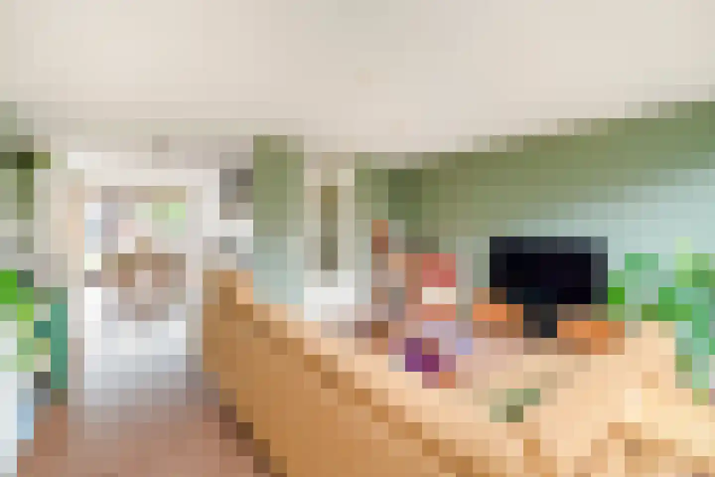 Saffier 66 Anna Paulowna thumbnail 11