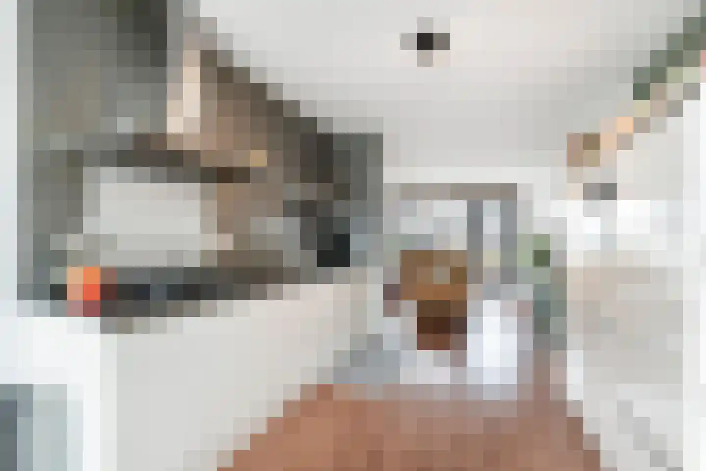 Saffier 66 Anna Paulowna thumbnail 12