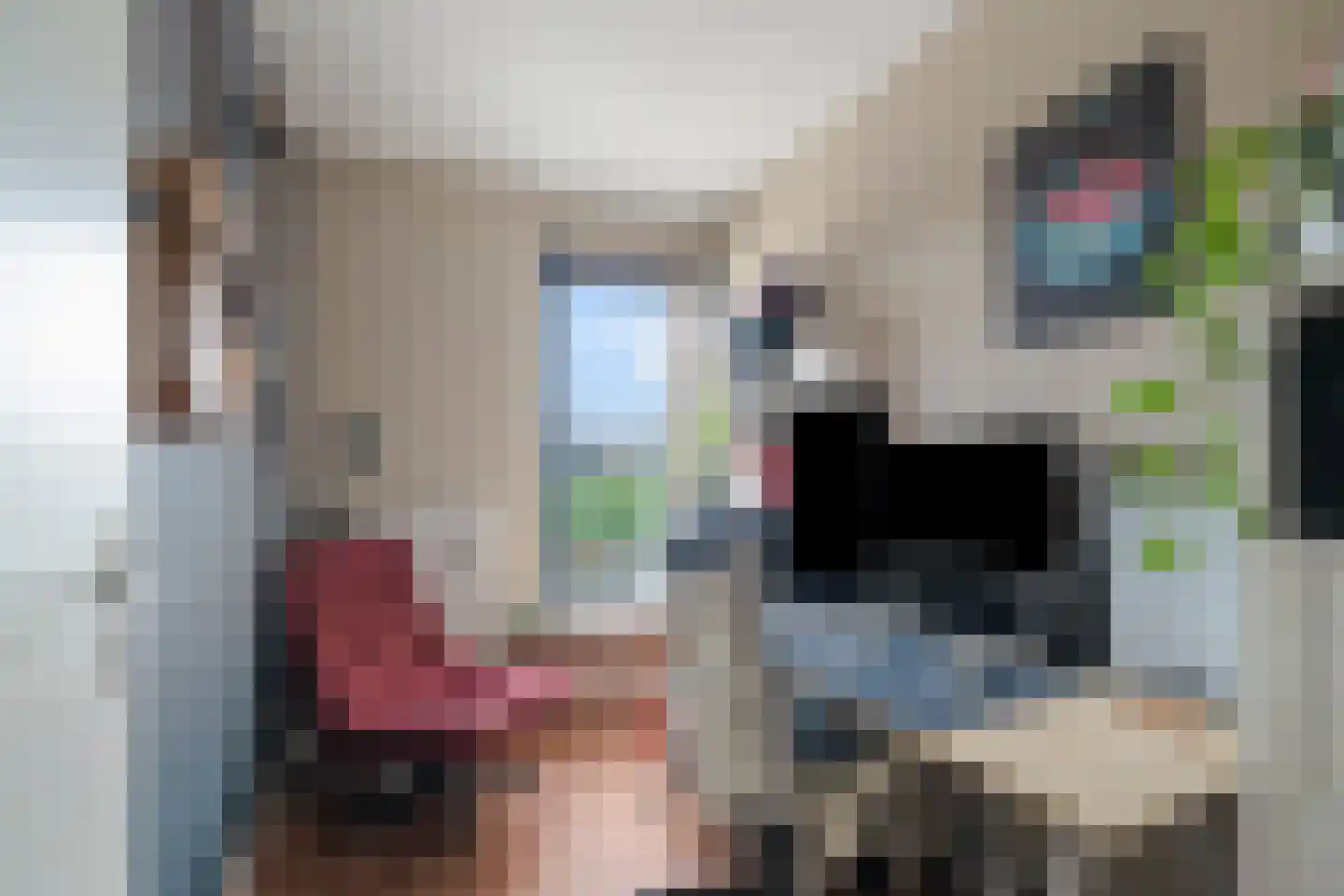 Saffier 66 Anna Paulowna thumbnail 20